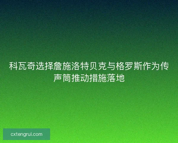 科瓦奇选择詹施洛特贝克与格罗斯作为传声筒推动措施落地