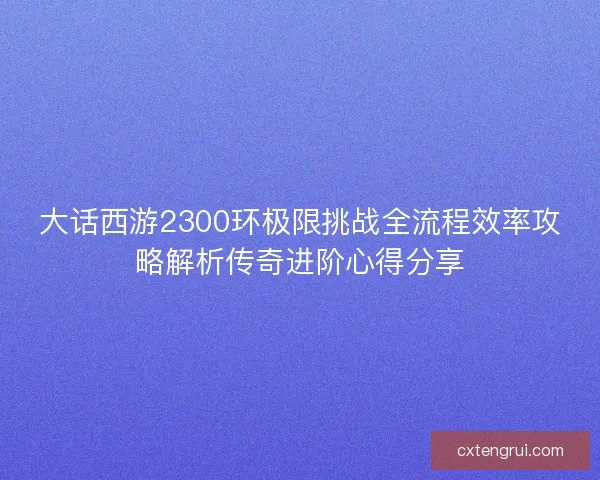 大话西游2300环极限挑战全流程效率攻略解析传奇进阶心得分享