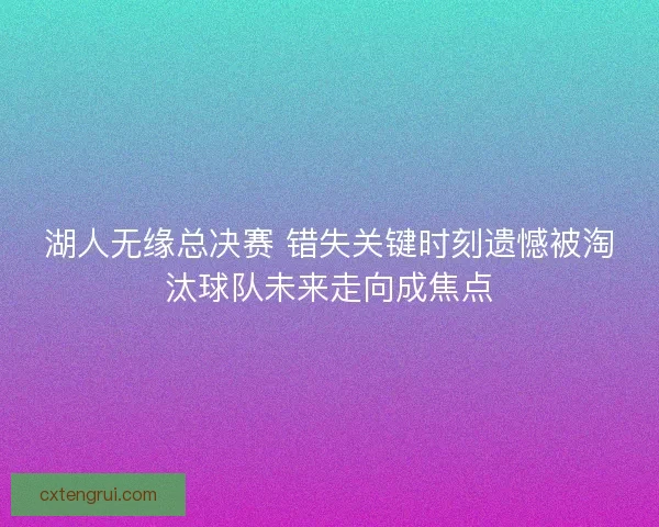 湖人无缘总决赛 错失关键时刻遗憾被淘汰球队未来走向成焦点