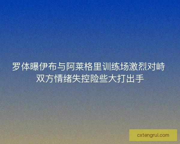 罗体曝伊布与阿莱格里训练场激烈对峙 双方情绪失控险些大打出手
