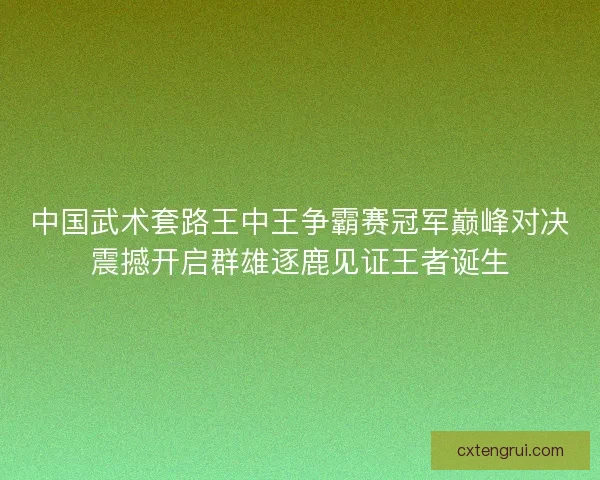 中国武术套路王中王争霸赛冠军巅峰对决震撼开启群雄逐鹿见证王者诞生 中国武术套路王中王争霸赛冠军巅峰对决震撼开启群雄逐鹿见证王者诞生